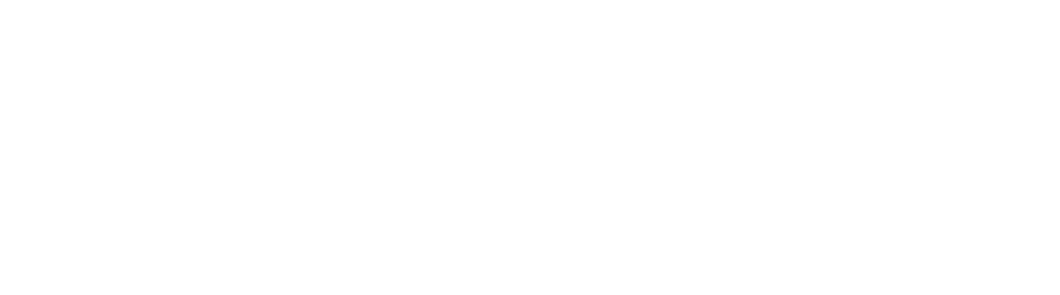 No-Li Logo